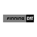 Finning cat