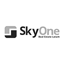Skyone