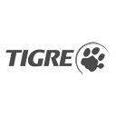 Tigre